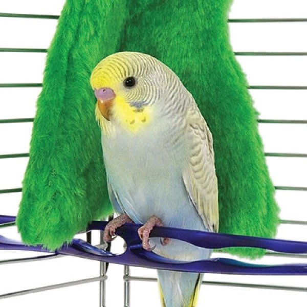 画像1: 鳥用 ブランケット Sサイズ◆コージーコーナー◆緑・黄・紫3色あり! (1)